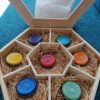Semicircle OrgoReiki Pack - Imagen 8