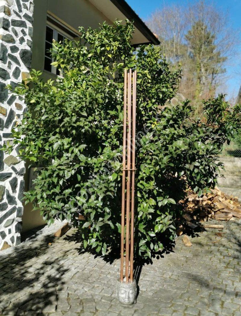 Cloudbuster MAXI BUDDHA KIT - Imagen 5