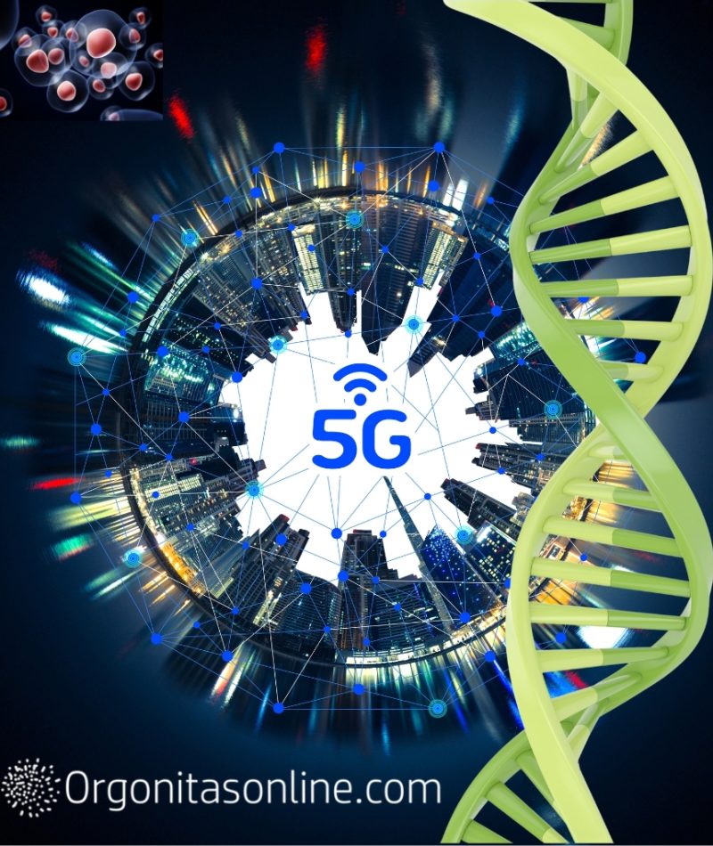 The 5G and the oxygen of our cells.