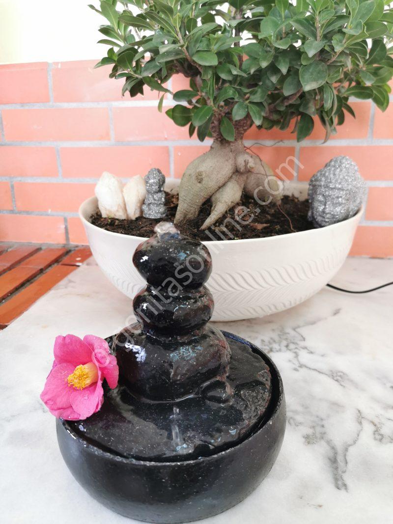 Water Source 5G Protection - Imagen 3