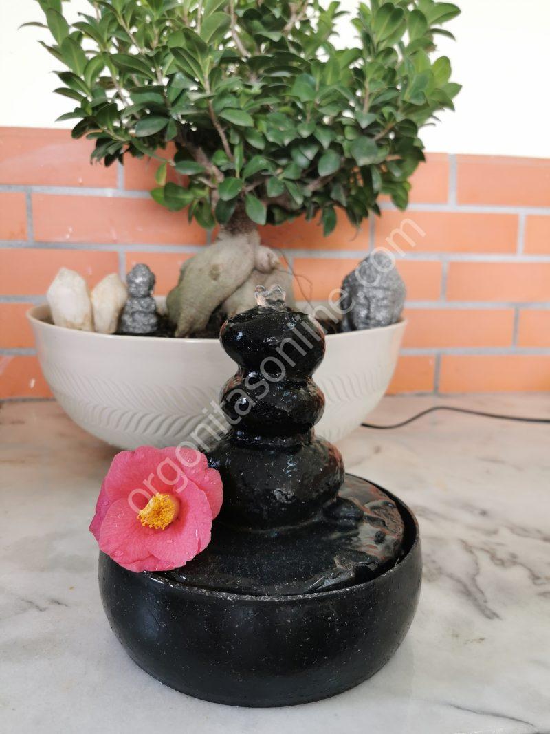 Water Source 5G Protection - Imagen 4