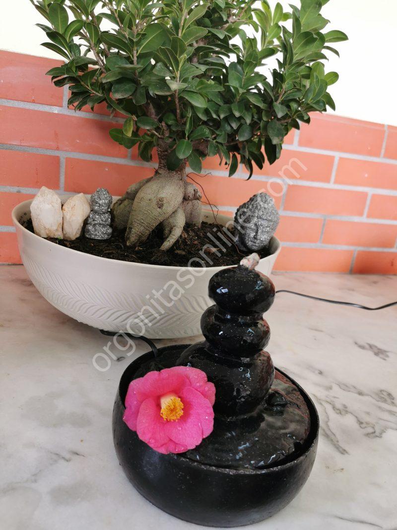 Water Source 5G Protection - Imagen 5