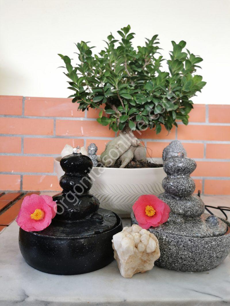 Water Source 5G Protection - Imagen 6